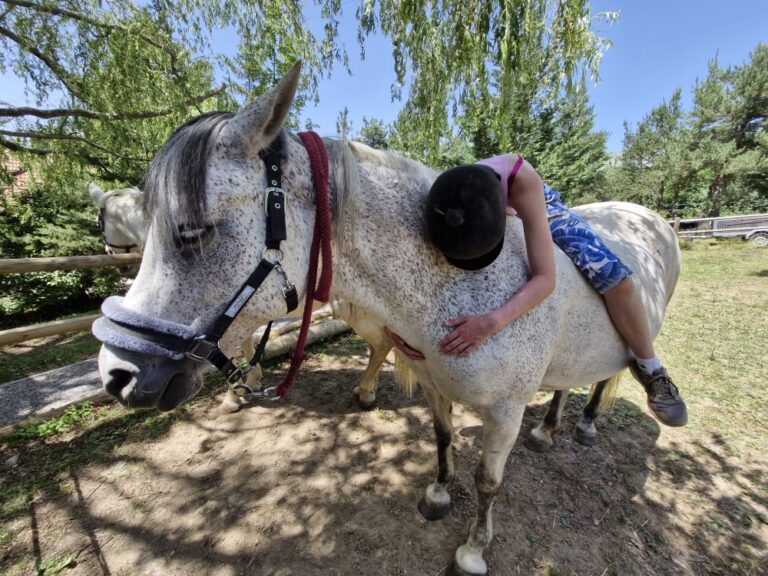 sophrologie-et-mediation-equine-sante-mentale-hautes-alpes-1
