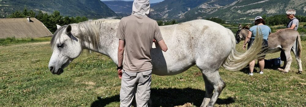 sophrologie-et-mediation-equine-sante-mentale-hautes-alpes-2