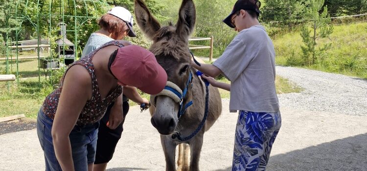 sophrologie-et-mediation-equine-sante-mentale-hautes-alpes-3