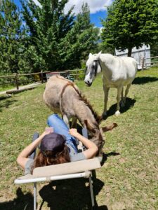 Participants aux ateliers de médiation équine dans les Hautes-Alpes